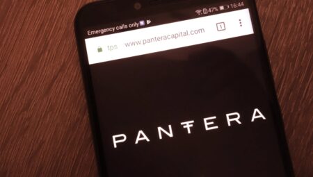 Pantera Capital, FTX Çöküşünden Etkilendi