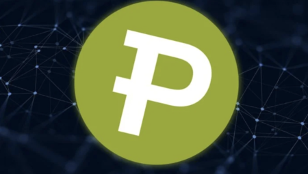 Paribu Coin (PRB) Nedir?